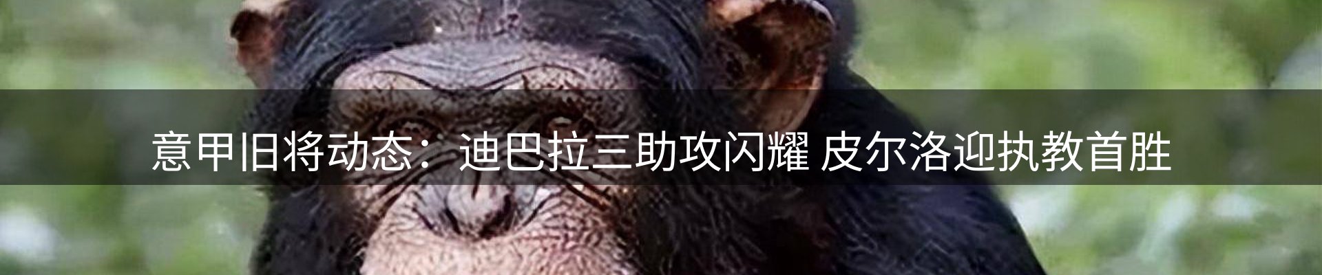 行业盘点