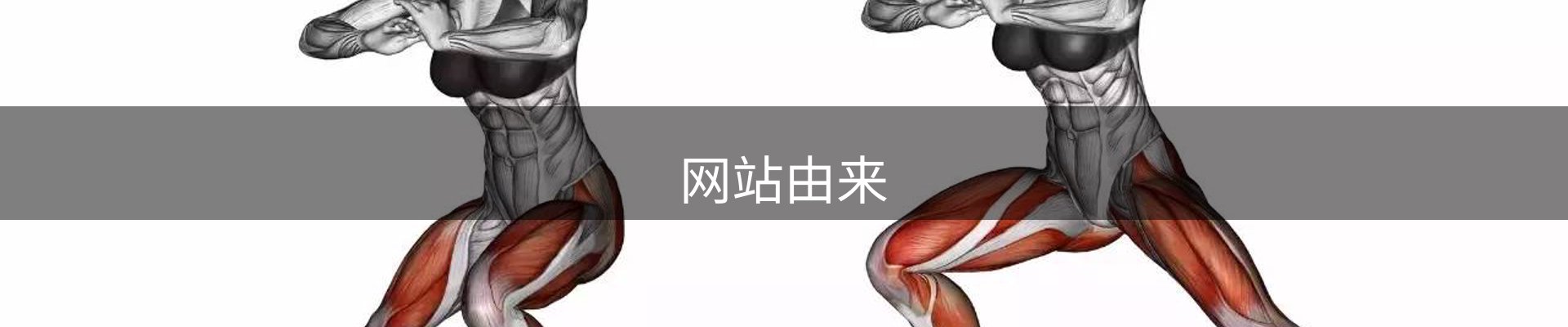 网站由来